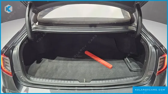 HYUNDAI SONATA 2.0 LPG(DISABLED PERSON)