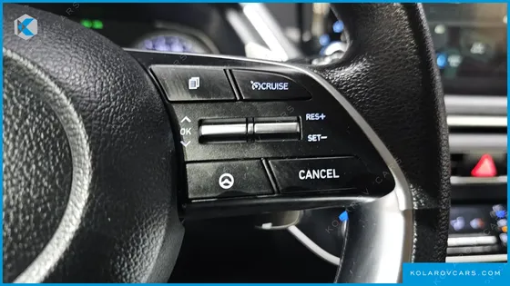 HYUNDAI SONATA 2.0 LPG(DISABLED PERSON)
