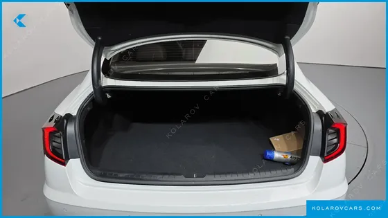 HYUNDAI SONATA 2.0 LPG(RENTAL CAR)