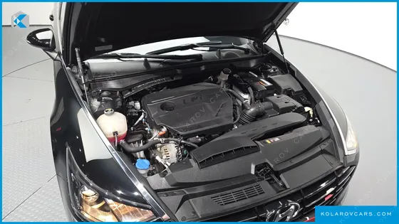 HYUNDAI SONATA 2.0 LPG(RENTAL CAR)