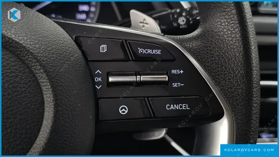 HYUNDAI SONATA 2.0 LPG(RENTAL CAR)