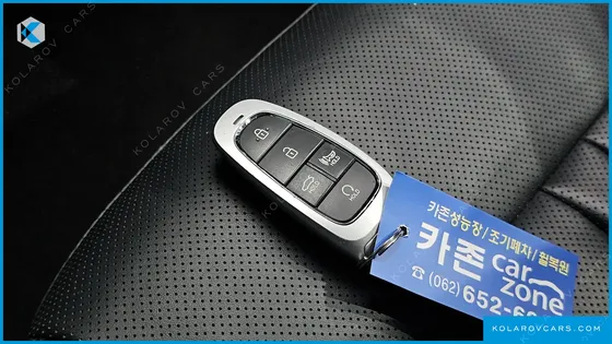 HYUNDAI SONATA 2.0 LPG(RENTAL CAR)