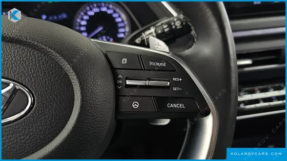 HYUNDAI SONATA 2.0 LPG(RENTAL CAR)