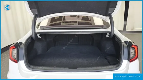 HYUNDAI SONATA 2.0 LPG(RENTAL CAR)