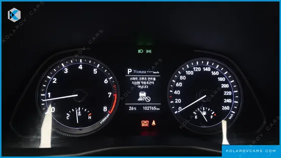 HYUNDAI SONATA 2.0 LPG(DISABLED PERSON)
