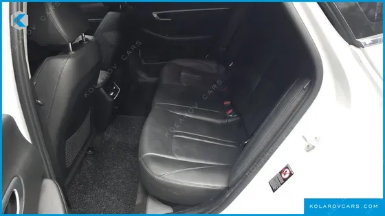 HYUNDAI SONATA 2.0 LPG(DISABLED PERSON)