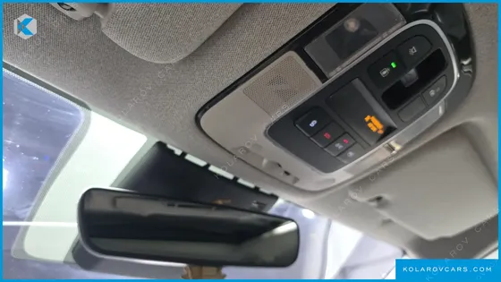 HYUNDAI SONATA 2.0 LPG(DISABLED PERSON)