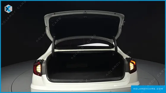HYUNDAI SONATA 2.0 LPG(DISABLED PERSON)