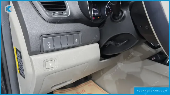 KIA CARNIVAL 9-SEATER LUXURY