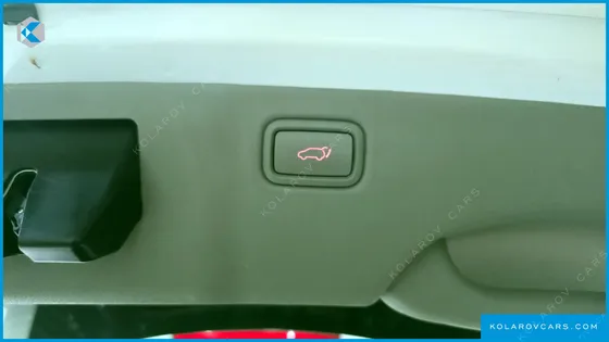 KIA CARNIVAL 9-SEATER NOBLESSE