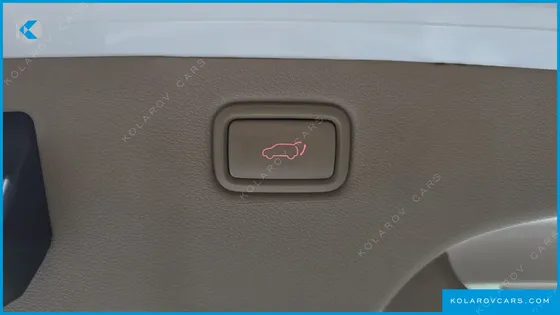 KIA CARNIVAL 9-SEATER PRESTIGE