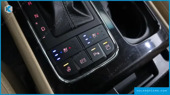 KIA CARNIVAL 9-SEATER NOBLESSE