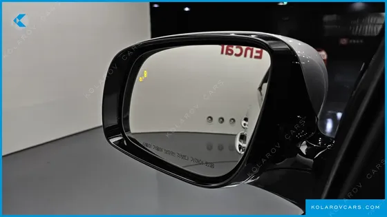 KIA CARNIVAL 9-SEATER NOBLESSE