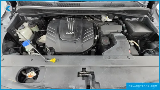 KIA CARNIVAL GASOLINE 7-SEATER LIMOUSINE