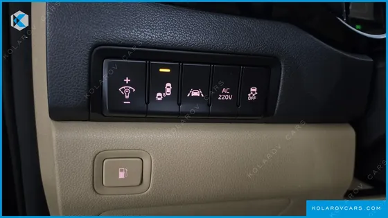 KIA CARNIVAL GASOLINE 7-SEATER LIMOUSINE