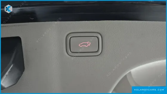 KIA CARNIVAL 9-SEATER NOBLESSE