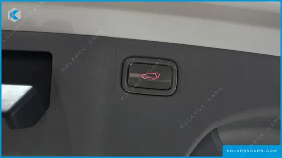 KIA CARNIVAL 9-SEATER NOBLESSE