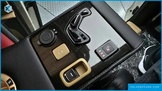 KIA CARNIVAL 9-SEATER LIMOUSINE(SPECIAL VEHICLE)
