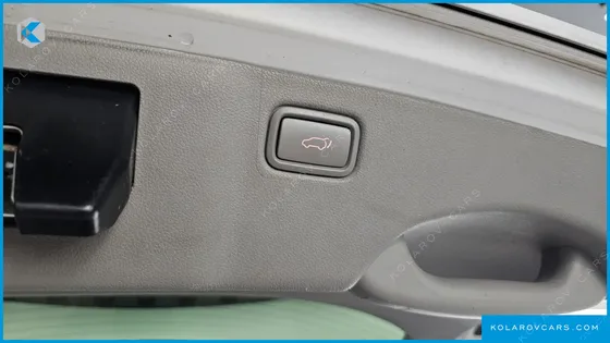 KIA CARNIVAL 9-SEATER NOBLESSE