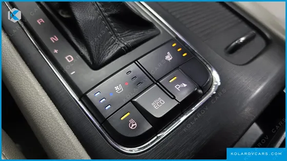 KIA CARNIVAL 9-SEATER LUXURY