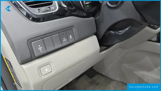 KIA CARNIVAL 9-SEATER NOBLESSE