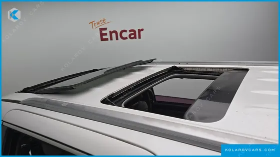 KIA CARNIVAL 9-SEATER NOBLESSE