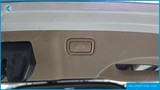 KIA CARNIVAL 9-SEATER HI-LIMOUSINE