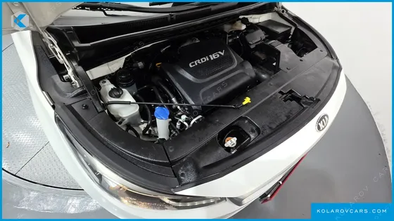 KIA CARNIVAL 9-SEATER LUXURY