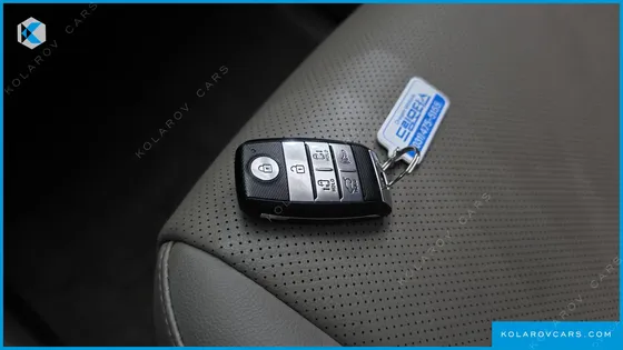KIA CARNIVAL 9-SEATER LUXURY