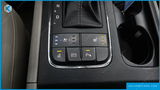 KIA CARNIVAL 9-SEATER LUXURY