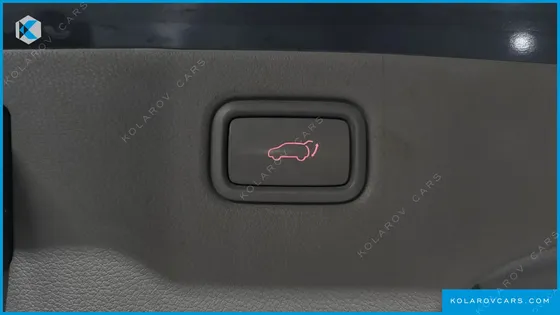 KIA CARNIVAL 9-SEATER PRESTIGE