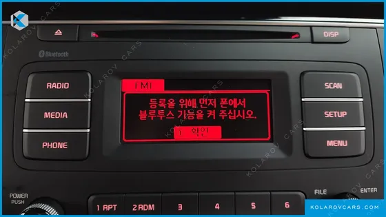 KIA CARNIVAL 11-SEATER PRESTIGE