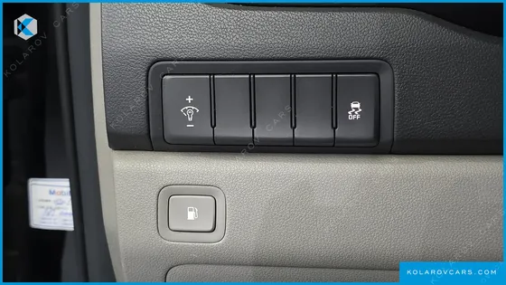 KIA CARNIVAL 9-SEATER LUXURY