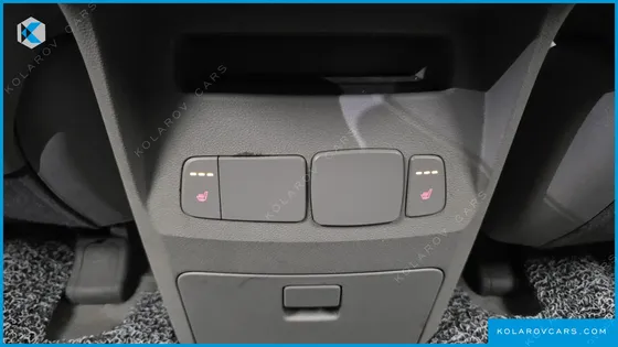 KIA CARNIVAL 9-SEATER LUXURY