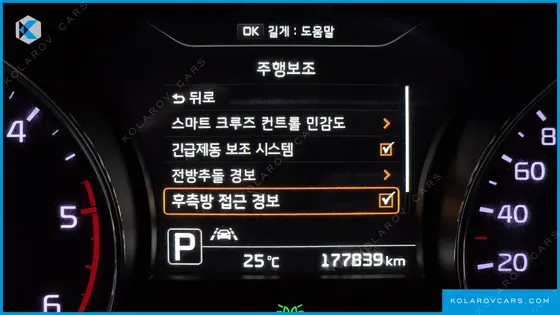 KIA CARNIVAL 9-SEATER NOBLESSE