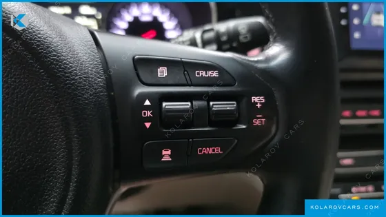 KIA CARNIVAL 9-SEATER NOBLESSE