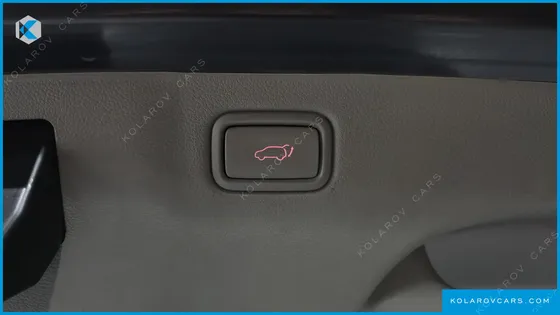 KIA CARNIVAL 9-SEATER NOBLESSE