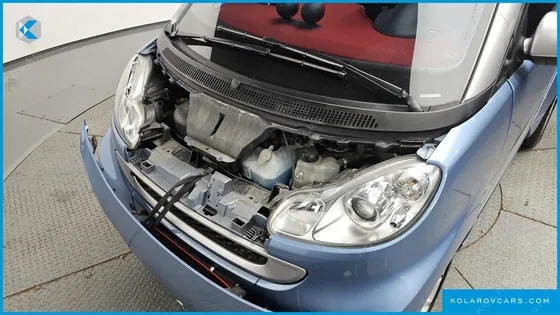 SMART PORTE PASSION TURBO
