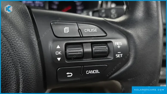 KIA CARNIVAL GASOLINE 9-SEATER NOBLESSE