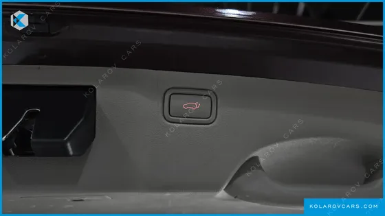 KIA CARNIVAL GASOLINE 9-SEATER NOBLESSE