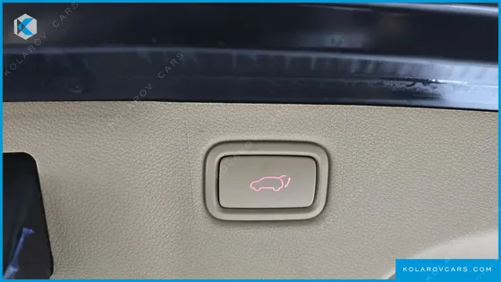 KIA CARNIVAL 7-SEATER LIMOUSINE