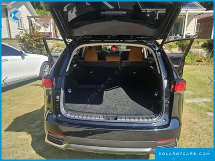 LEXUS NX EXECUTIVE
