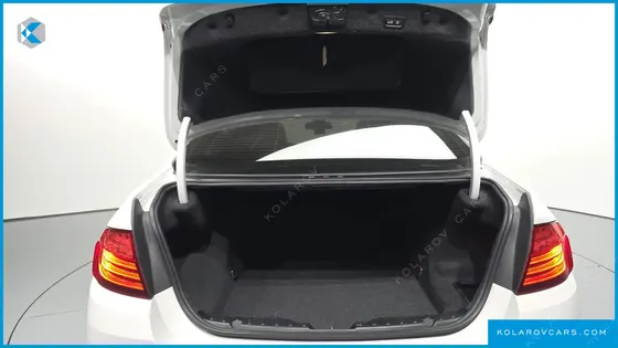 BMW 5 SERIES 520D