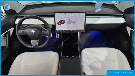 TESLA MODEL 3 PERFORMANCE AWD