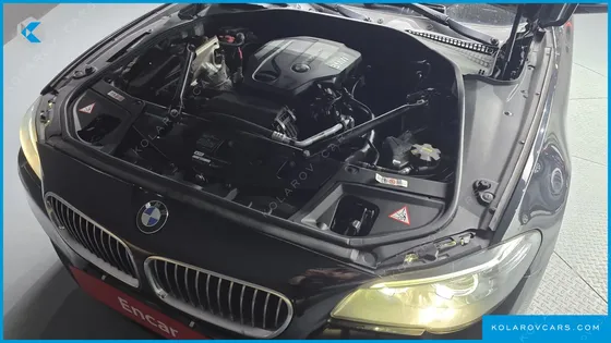 BMW 5 SERIES 520D