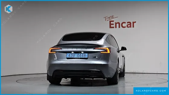 TESLA MODEL 3 PERFORMANCE AWD