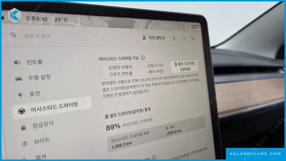 TESLA MODEL 3 PERFORMANCE AWD