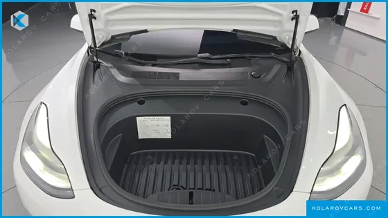 TESLA MODEL 3 STANDARD RANGE PLUE RWD