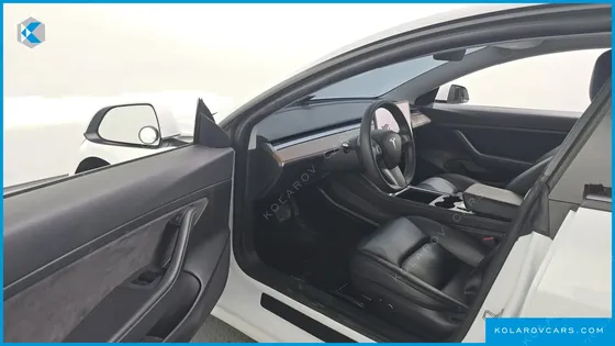 TESLA MODEL 3 STANDARD RANGE PLUE RWD