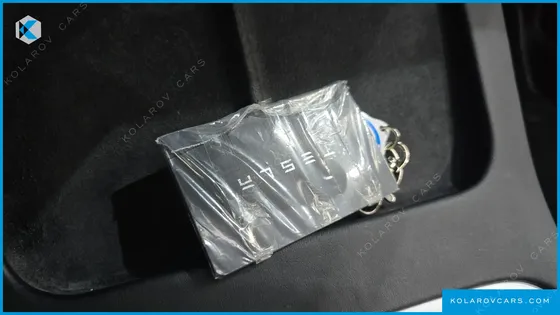 TESLA MODEL 3 STANDARD RANGE PLUE RWD